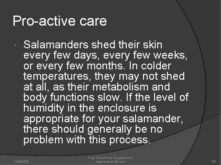 Pro-active care Salamanders shed their skin every few days, every few weeks, or every Pro-active care Salamanders shed their skin every few days, every few weeks, or every