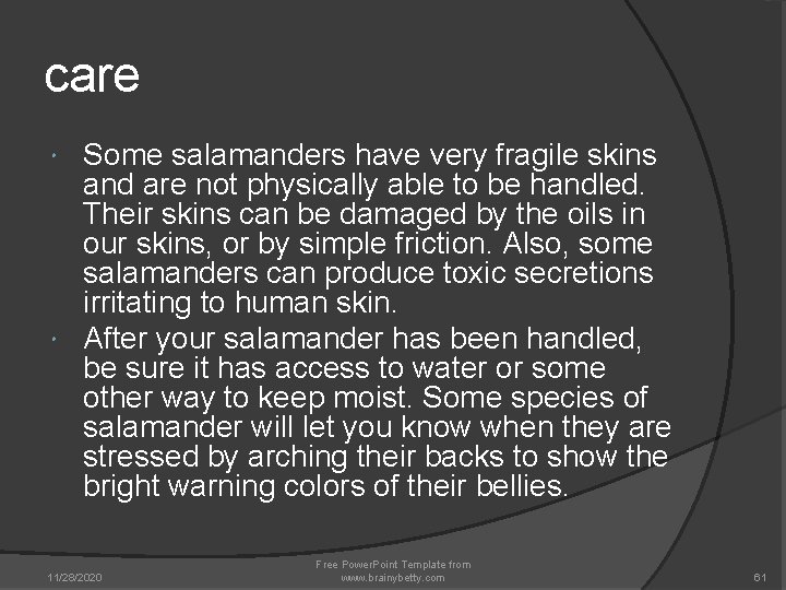 care Some salamanders have very fragile skins and are not physically able to be care Some salamanders have very fragile skins and are not physically able to be