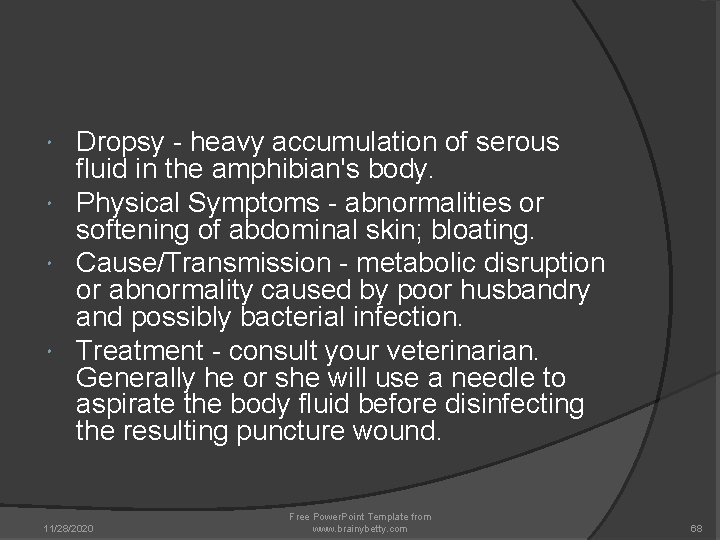 Dropsy - heavy accumulation of serous fluid in the amphibian's body. Physical Symptoms - Dropsy - heavy accumulation of serous fluid in the amphibian's body. Physical Symptoms -