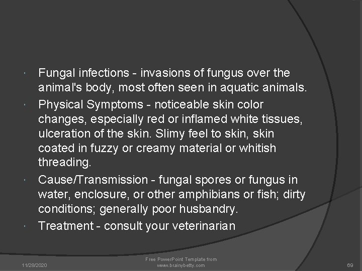 Fungal infections - invasions of fungus over the animal's body, most often seen in Fungal infections - invasions of fungus over the animal's body, most often seen in