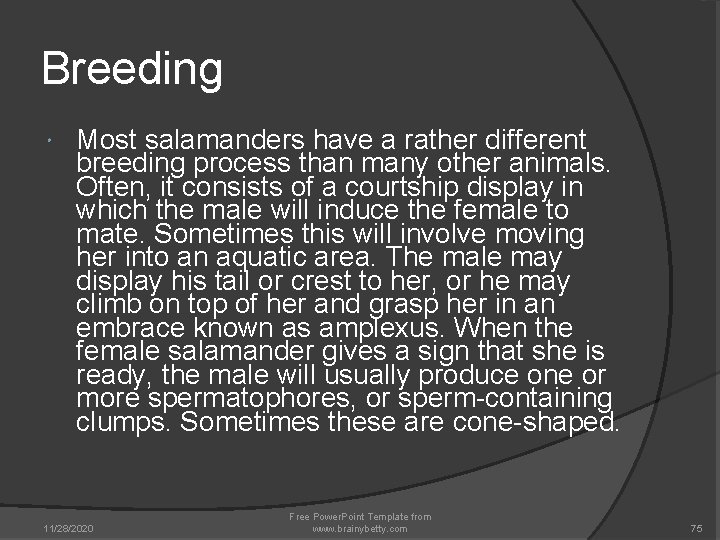 Breeding Most salamanders have a rather different breeding process than many other animals. Often, Breeding Most salamanders have a rather different breeding process than many other animals. Often,