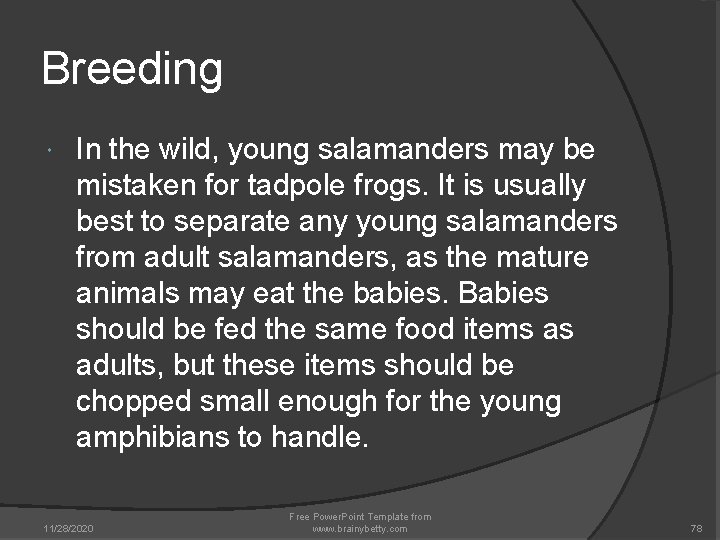 Breeding In the wild, young salamanders may be mistaken for tadpole frogs. It is Breeding In the wild, young salamanders may be mistaken for tadpole frogs. It is