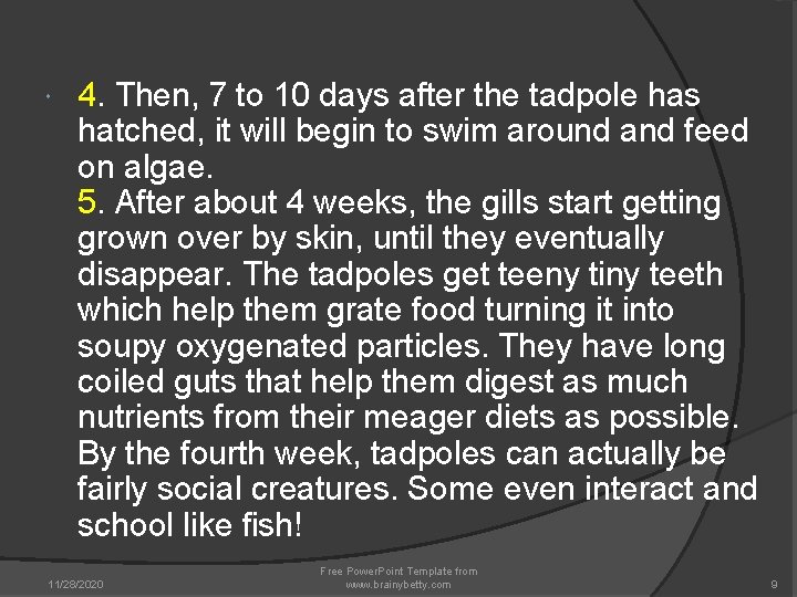 4. Then, 7 to 10 days after the tadpole has hatched, it will 4. Then, 7 to 10 days after the tadpole has hatched, it will