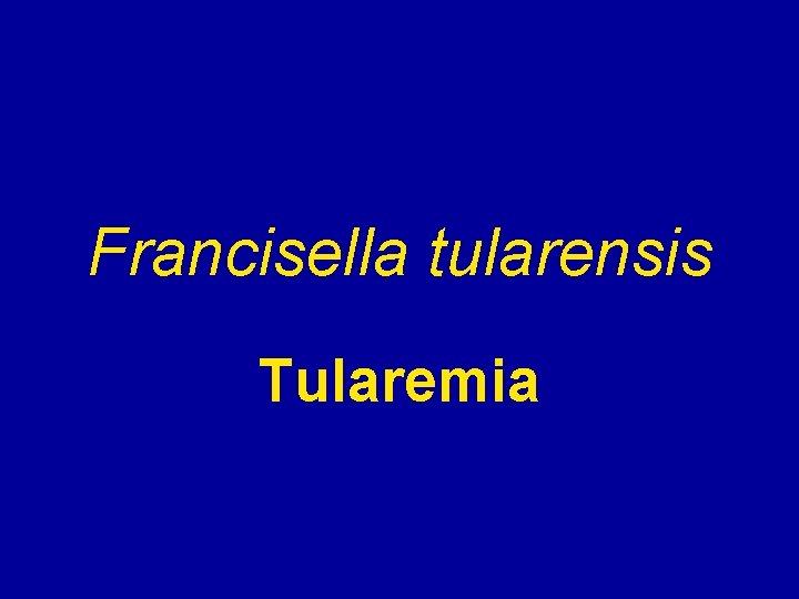 Francisella tularensis Tularemia Francisella tularensis Tularemia