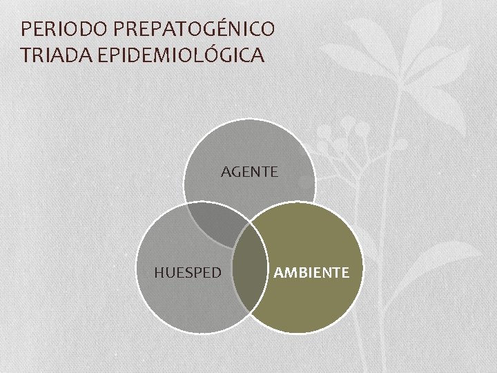 PERIODO PREPATOGÉNICO TRIADA EPIDEMIOLÓGICA AGENTE HUESPED AMBIENTE 