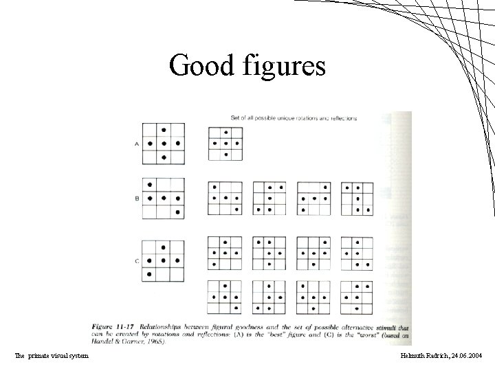 Good figures The primate visual system Helmuth Radrich, 24. 06. 2004 