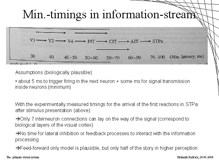 Min. -timings in information-stream Assumptions (biologically plausible): • about 5 ms to trigger firing