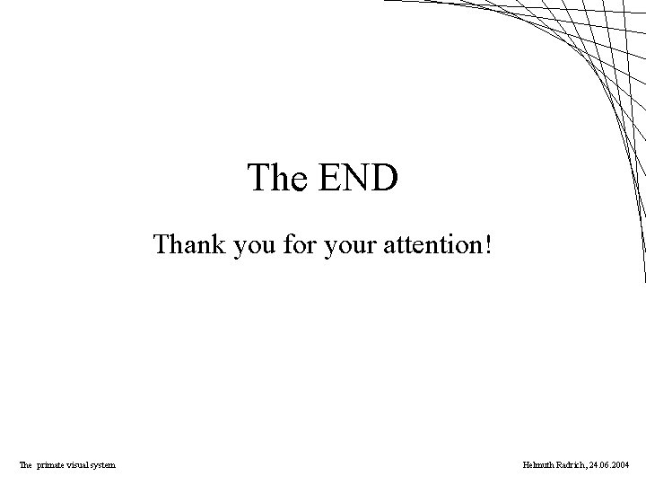 The END Thank you for your attention! The primate visual system Helmuth Radrich, 24.