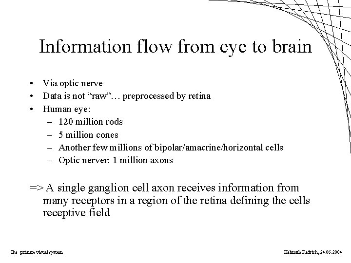 Information flow from eye to brain • Via optic nerve • Data is not