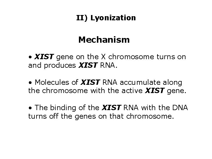 II) Lyonization Mechanism • XIST gene on the X chromosome turns on and produces