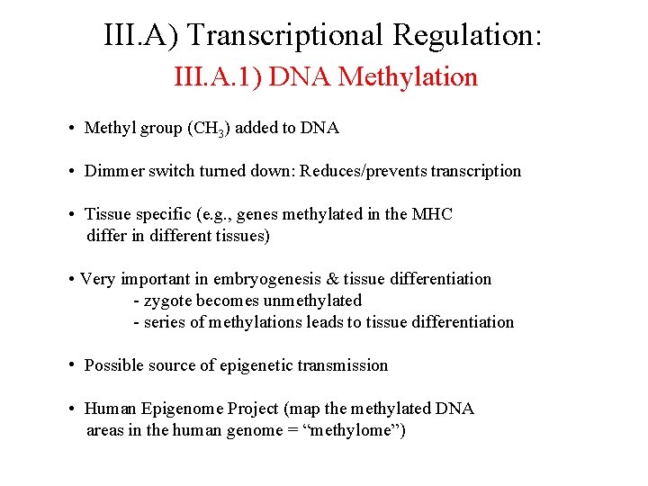 III. A) Transcriptional Regulation: III. A. 1) DNA Methylation • Methyl group (CH 3)