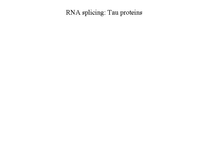 RNA splicing: Tau proteins 