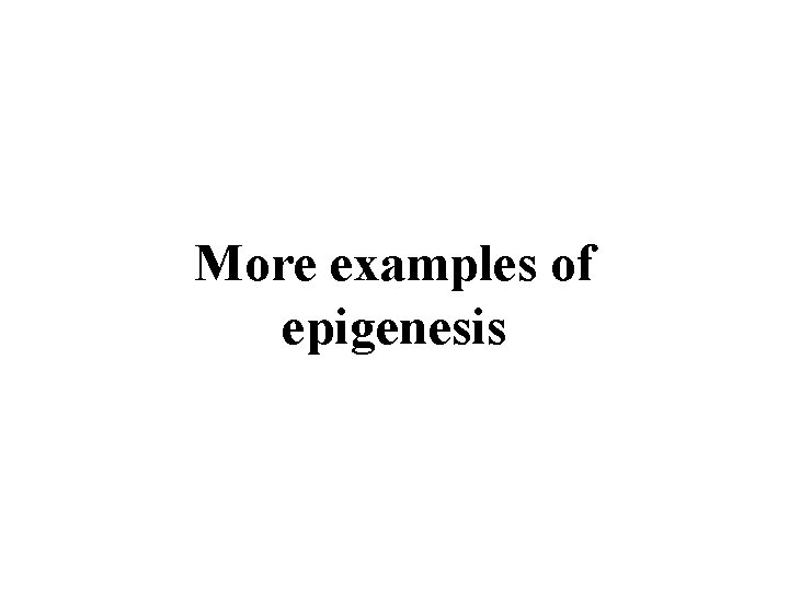More examples of epigenesis 