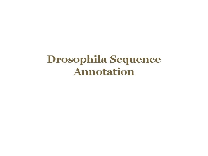 Drosophila Sequence Annotation 