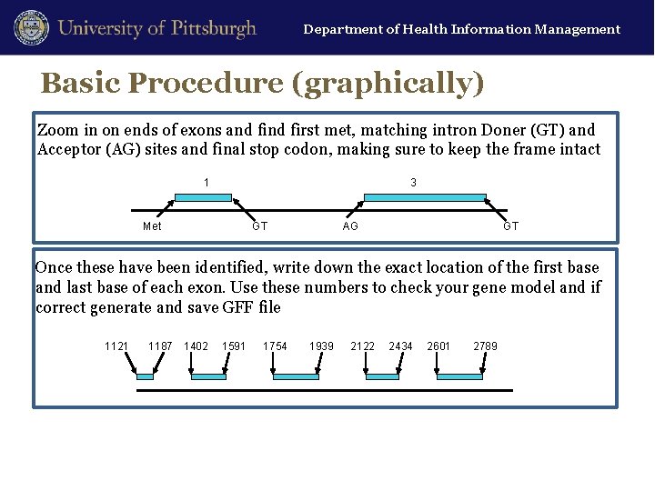 Department of Health Information Management Basic Procedure (graphically) Zoom in on ends of exons