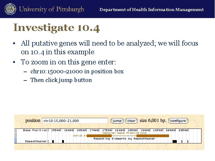 Department of Health Information Management Investigate 10. 4 • All putative genes will need