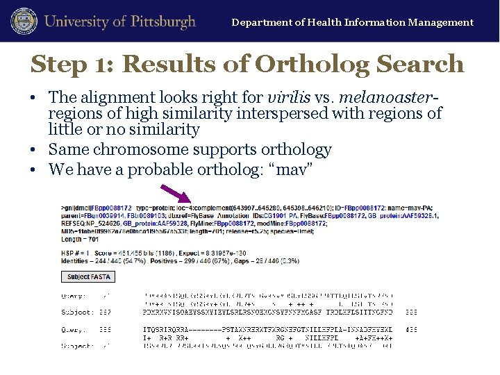 Department of Health Information Management Step 1: Results of Ortholog Search • The alignment