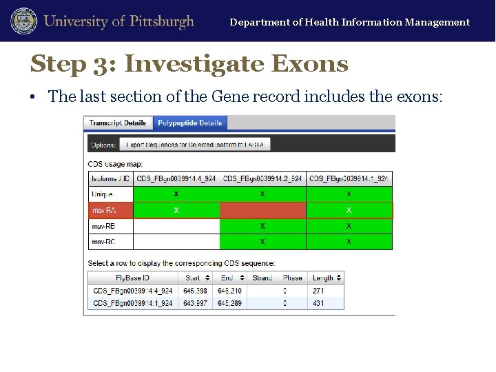 Department of Health Information Management Step 3: Investigate Exons • The last section of