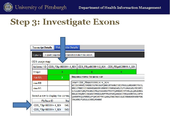 Department of Health Information Management Step 3: Investigate Exons 