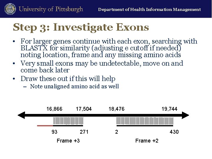 Department of Health Information Management Step 3: Investigate Exons • For larger genes continue