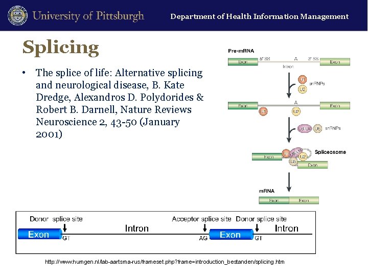 Department of Health Information Management Splicing • The splice of life: Alternative splicing and