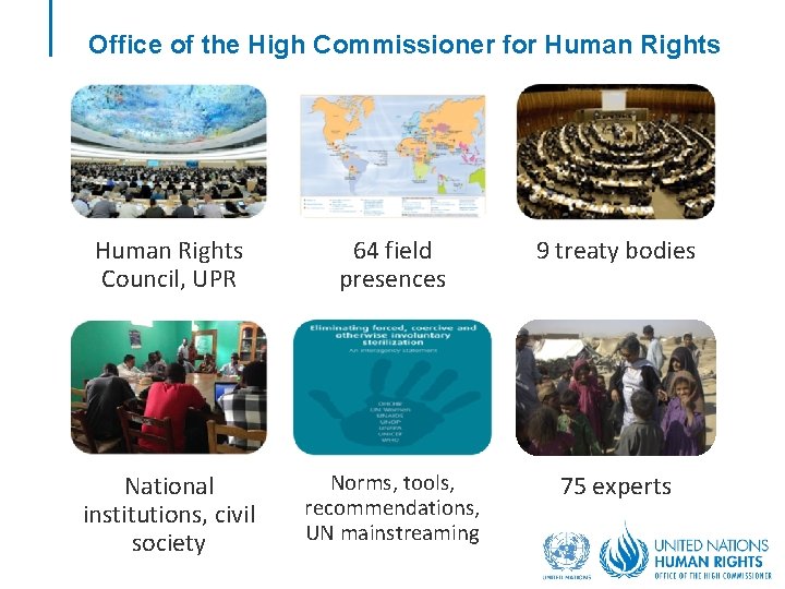 Office of the High Commissioner for Human Rights
