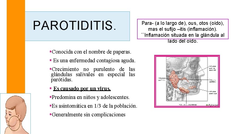 PAROTIDITIS. §Conocida con el nombre de paperas. § Es una enfermedad contagiosa aguda. §Crecimiento