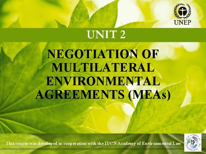 NEGOTIATION OF MULTILATERAL ENVIRONMENTAL AGREEMENTS (MEAs) This course was developed in cooperation with the