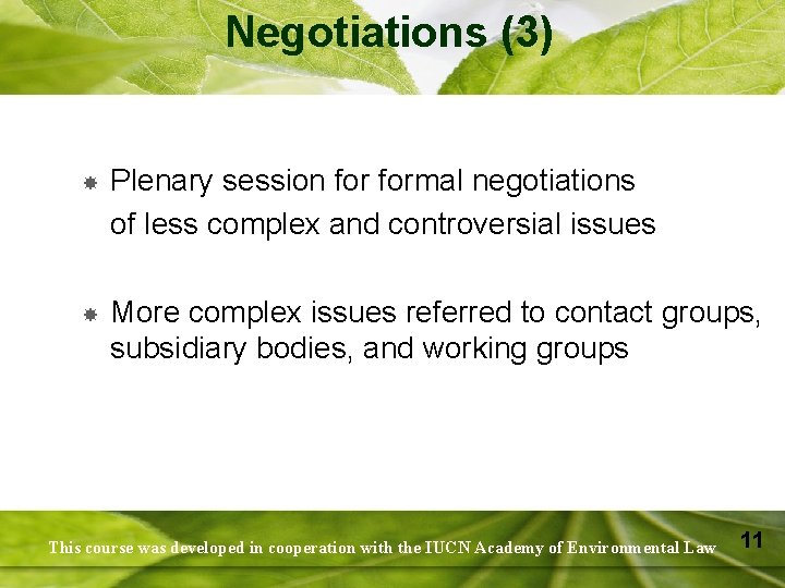 Negotiations (3) Plenary session formal negotiations of less complex and controversial issues More complex