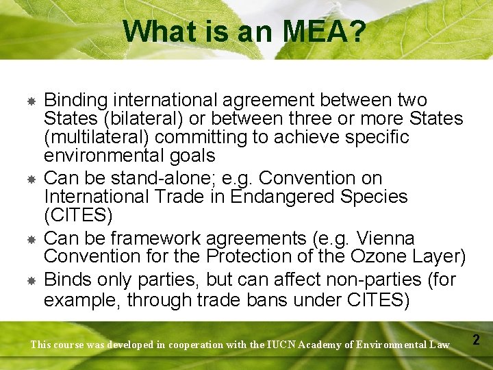 What is an MEA? Binding international agreement between two States (bilateral) or between three