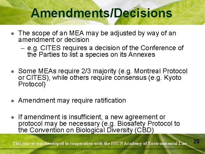 Amendments/Decisions The scope of an MEA may be adjusted by way of an amendment