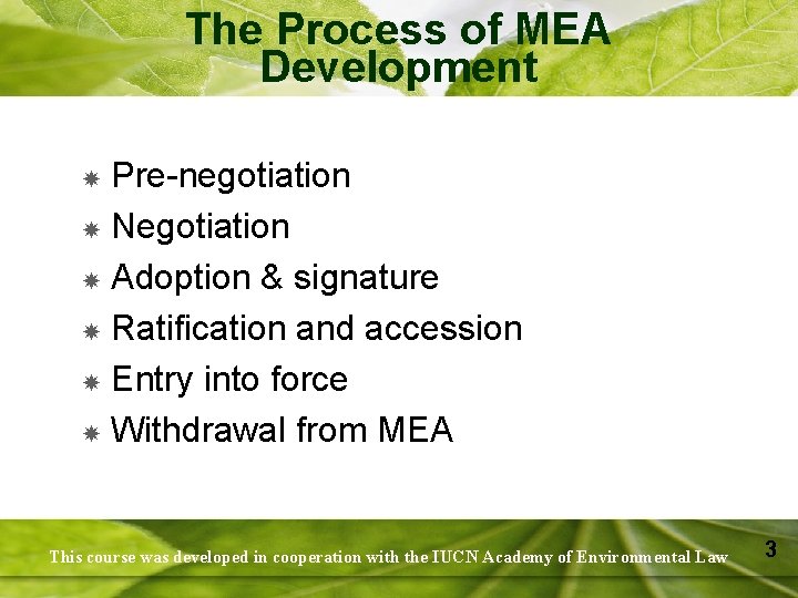 The Process of MEA Development Pre-negotiation Negotiation Adoption & signature Ratification and accession Entry