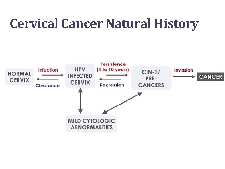 Cervical Cancer Natural History 