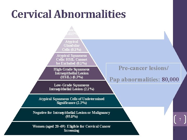 Cervical Abnormalities Cancer (0. 015%) Atypical Glandular Cells (0. 1%) Atypical Squamous Cells: HSIL Cervical Abnormalities Cancer (0. 015%) Atypical Glandular Cells (0. 1%) Atypical Squamous Cells: HSIL