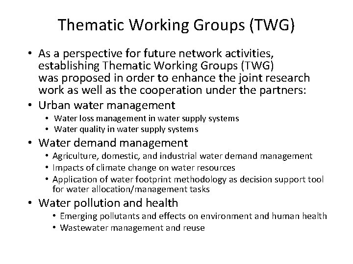 Thematic Working Groups (TWG) • As a perspective for future network activities, establishing Thematic