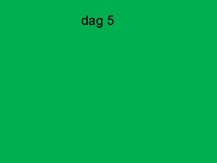 dag 5 