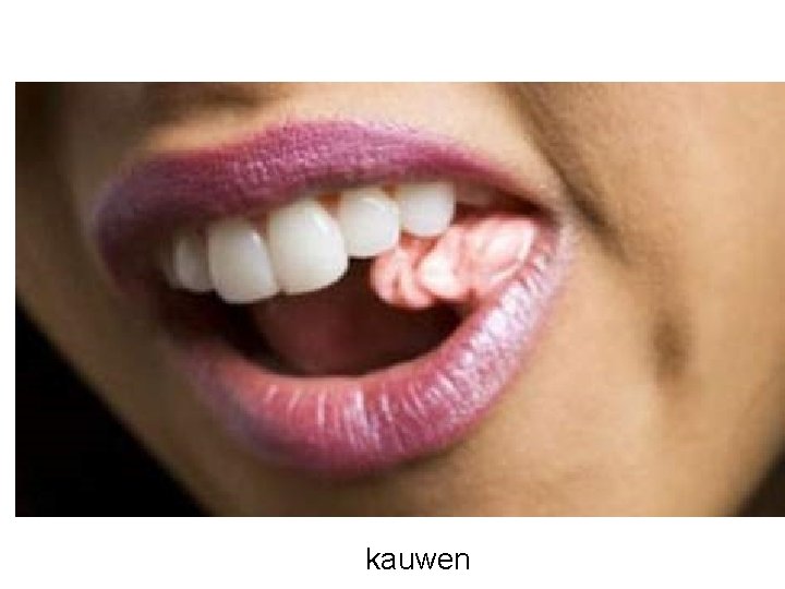 kauwen 