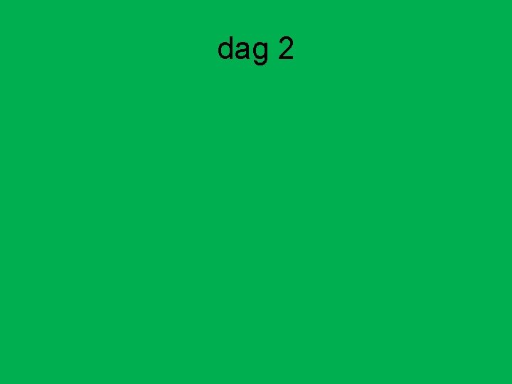 dag 2 