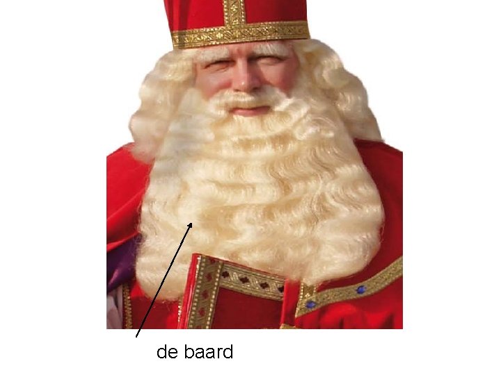 de baard 