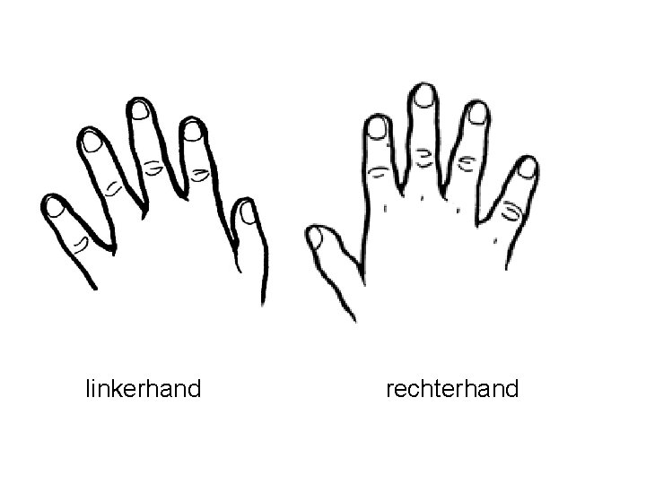 linkerhand rechterhand 