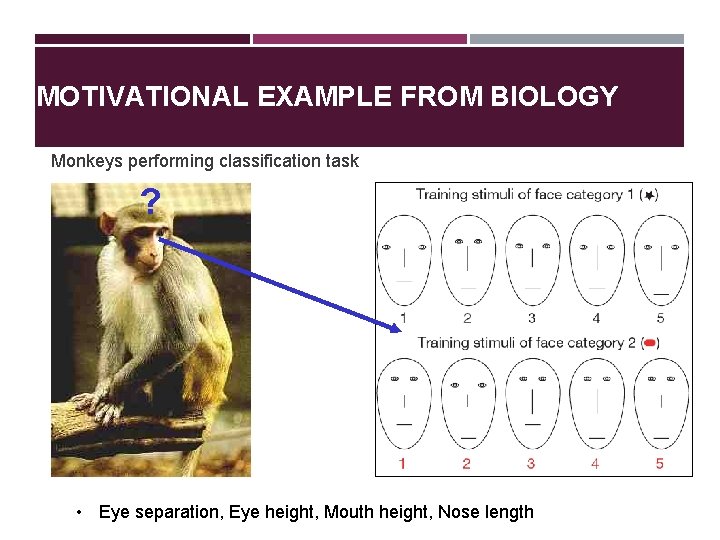 MOTIVATIONAL EXAMPLE FROM BIOLOGY Monkeys performing classification task ? • Eye separation, Eye height,