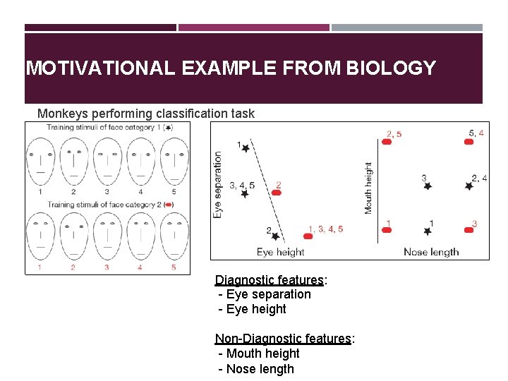 MOTIVATIONAL EXAMPLE FROM BIOLOGY Monkeys performing classification task Diagnostic features: - Eye separation -