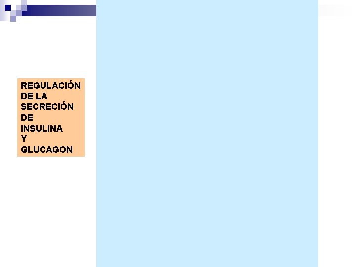 REGULACIÓN DE LA SECRECIÓN DE INSULINA Y GLUCAGON 