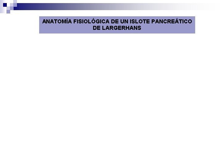ANATOMÍA FISIOLÓGICA DE UN ISLOTE PANCREÁTICO DE LARGERHANS 
