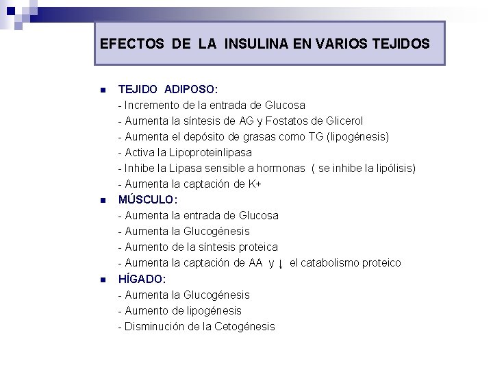 EFECTOS DE LA INSULINA EN VARIOS TEJIDOS n n n TEJIDO ADIPOSO: - Incremento