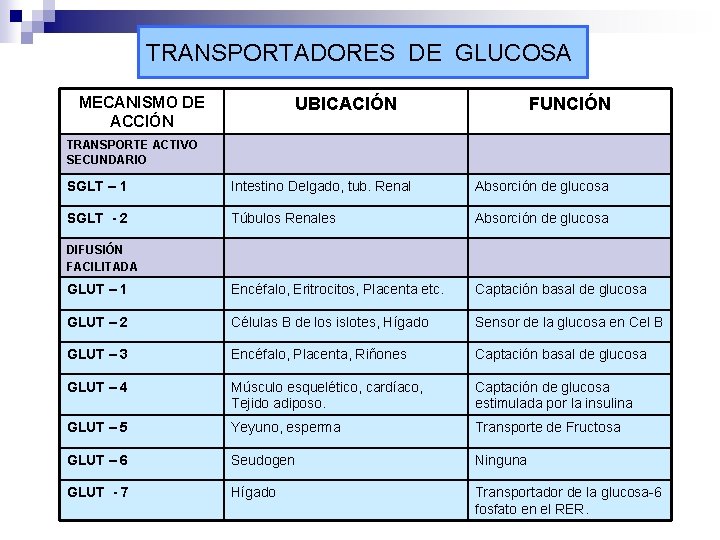 TRANSPORTADORES DE GLUCOSA MECANISMO DE ACCIÓN UBICACIÓN FUNCIÓN TRANSPORTE ACTIVO SECUNDARIO SGLT – 1