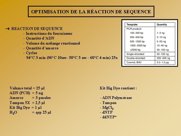 OPTIMISATION DE LA RÉACTION DE SEQUENCE REACTION DE SEQUENCE - Instructions du fournisseur -