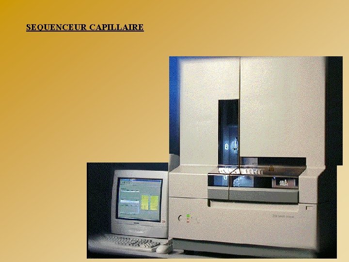 SEQUENCEUR CAPILLAIRE 