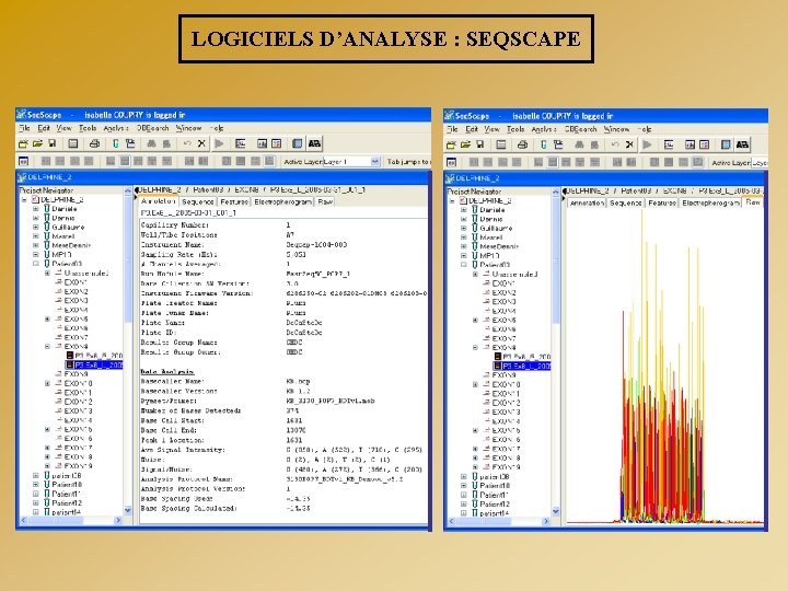 LOGICIELS D’ANALYSE : SEQSCAPE 