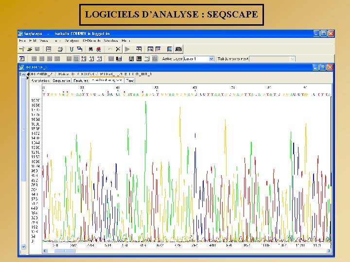 LOGICIELS D’ANALYSE : SEQSCAPE 